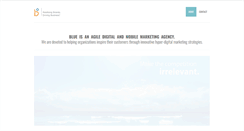 Desktop Screenshot of blueintl.com